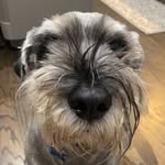 Max Nield - @max.nield - Instagram