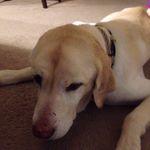 Max Betsill Nielson - @max_nielson - Instagram