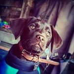 Max Nielson-Howes - @max_takes_pictures_101 - Instagram