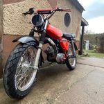 Max - @max.nieman667 - Instagram