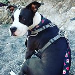 Max Nieman - @niemanmax - Instagram