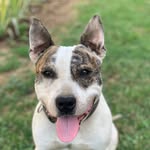 Max Nikolić - @maxnikolic21 - Instagram