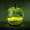 d̶e̶m̶o̶n̶i̶t̶i̶z̶d̶ - @maxnix07 - TikTok