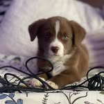 Max Nix - @maxnix743 - Instagram