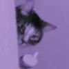 Max 🧃 - @max._.noriega - TikTok