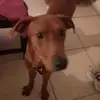 max noriega - @max126979 - TikTok