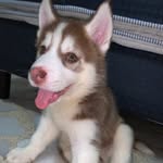 Max Noriega - @max.noriegaa - Instagram