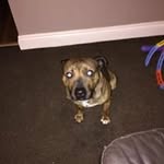 Max Norton - @max.norton.3192 - Instagram