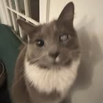 Max Norton - @max__norton - Instagram