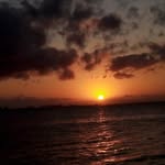 Max Norton - @mx.norton - Instagram