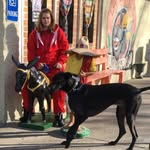 Max Norwood - @max_norwood - Instagram