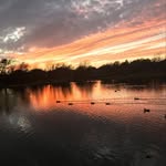 Silvermx - @max.norwood.31 - Instagram