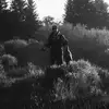 maxnowak01 - @maxnowak01 - TikTok