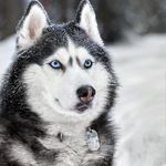 max nowicki - @maxi_to_spoko - Instagram