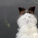 Max Oberlin - @wideglide18 - Instagram