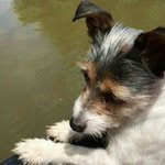 Max Oberlin - @maxoberlin - Instagram
