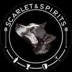 Max D. Ochoa - @scarlet_and_spirits - Instagram