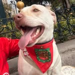 Max Ochoa 🐶✨ - @maxito_ochoa - Instagram