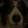 Max3729474 - @max_odonnell56 - TikTok