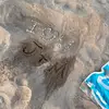 Max - @max.odonnell - TikTok
