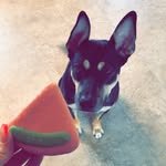 Max O’Donnell - @maxeronii - Instagram