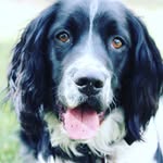 Max ODonnell - @odonnell.max - Instagram