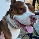 Max McDoogle - @maxmcdoogle - Instagram