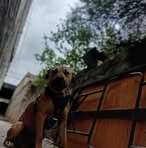 Max Mendoza Olalde - Facebook