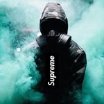Max Olin - @olin_max - Instagram