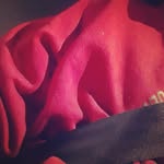 Max O’Malley - @noobrace123 - Instagram
