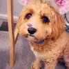 max.omalley - @max.omalley - TikTok