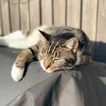 Max - @_max.oneill - Instagram