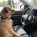 Max ONeill - Facebook