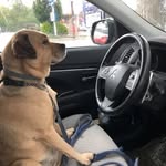Max ONeill - @maxoneill2 - Instagram