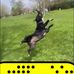 Max Oneill - Facebook
