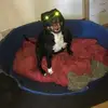 maxoneill439 - @maxoneill439 - TikTok