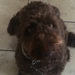 Max Osborne - @mmax_o - Instagram