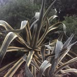 Max - @_max_page_ - Instagram