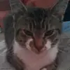 Max Paris - @private_maxina_theribena - TikTok
