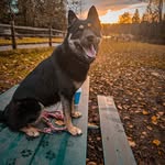 Max Paris - @parismaxime - Instagram