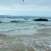 Max - @max.parra_ - TikTok