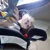 Max Parrott - @max.parrott - TikTok
