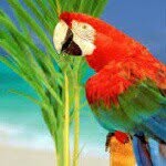 maxparrott - @max.parrott_5 - Instagram
