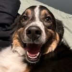 Maxx - @maxx_parrott - Instagram