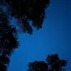Maxwell Peck - @maxwell.peck0 - TikTok