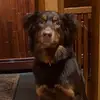 max_petersen999 - @max_petersen999 - TikTok