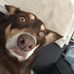 Max Petersen - Facebook