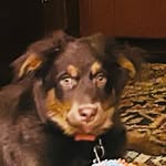 Max Petersen - @maxpetersen261 - Instagram
