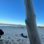 Max_peterson - @max_peterson312 - Instagram