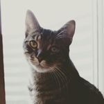max bergen pfeffer - @max_kitty25 - Instagram